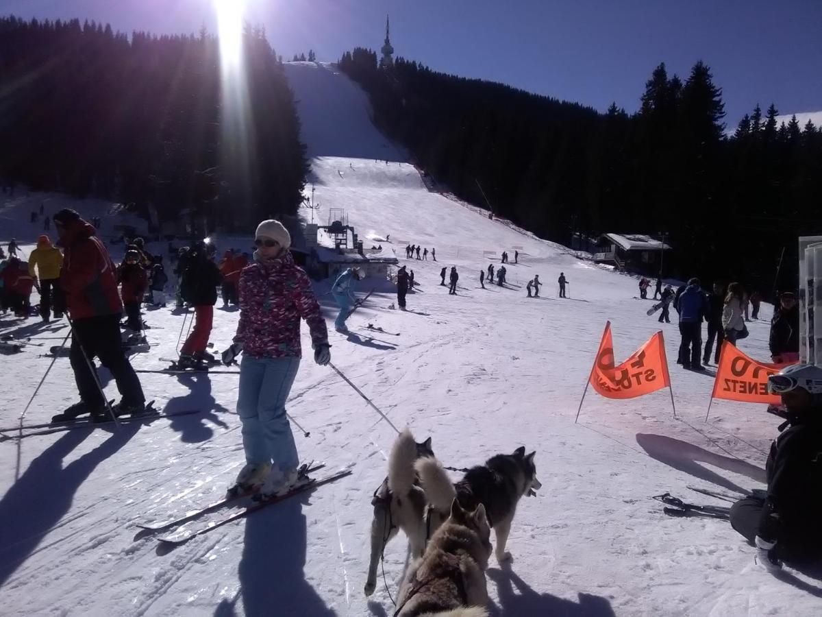 Ski Chalets At Pamporovo - An Affordable Village Holiday For Families Or Groups 외부 사진